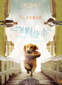 飞速体育截图